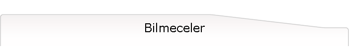 Bilmeceler